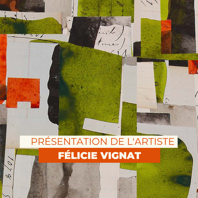 VIDÉO - Présentation de l'artiste Félicie VIGNAT