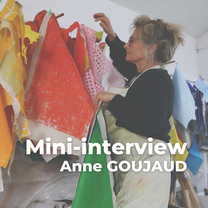 Mini-interview - 10 questions posées à Anne Goujaud