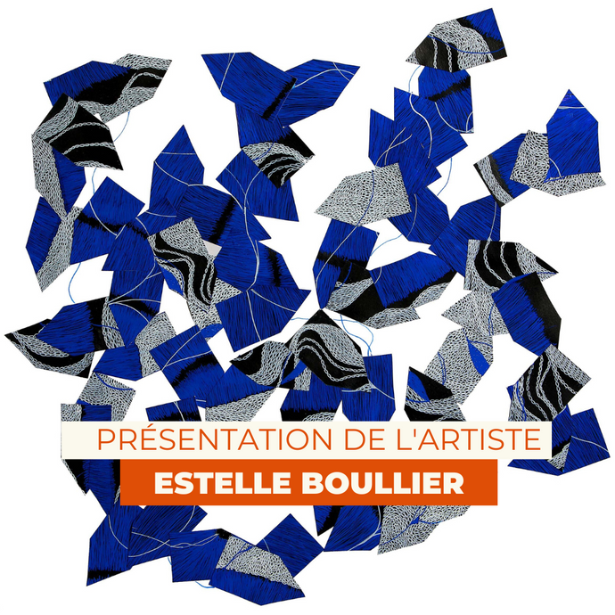 VIDÉO - Présentation de l'artiste Estelle BOULLIER