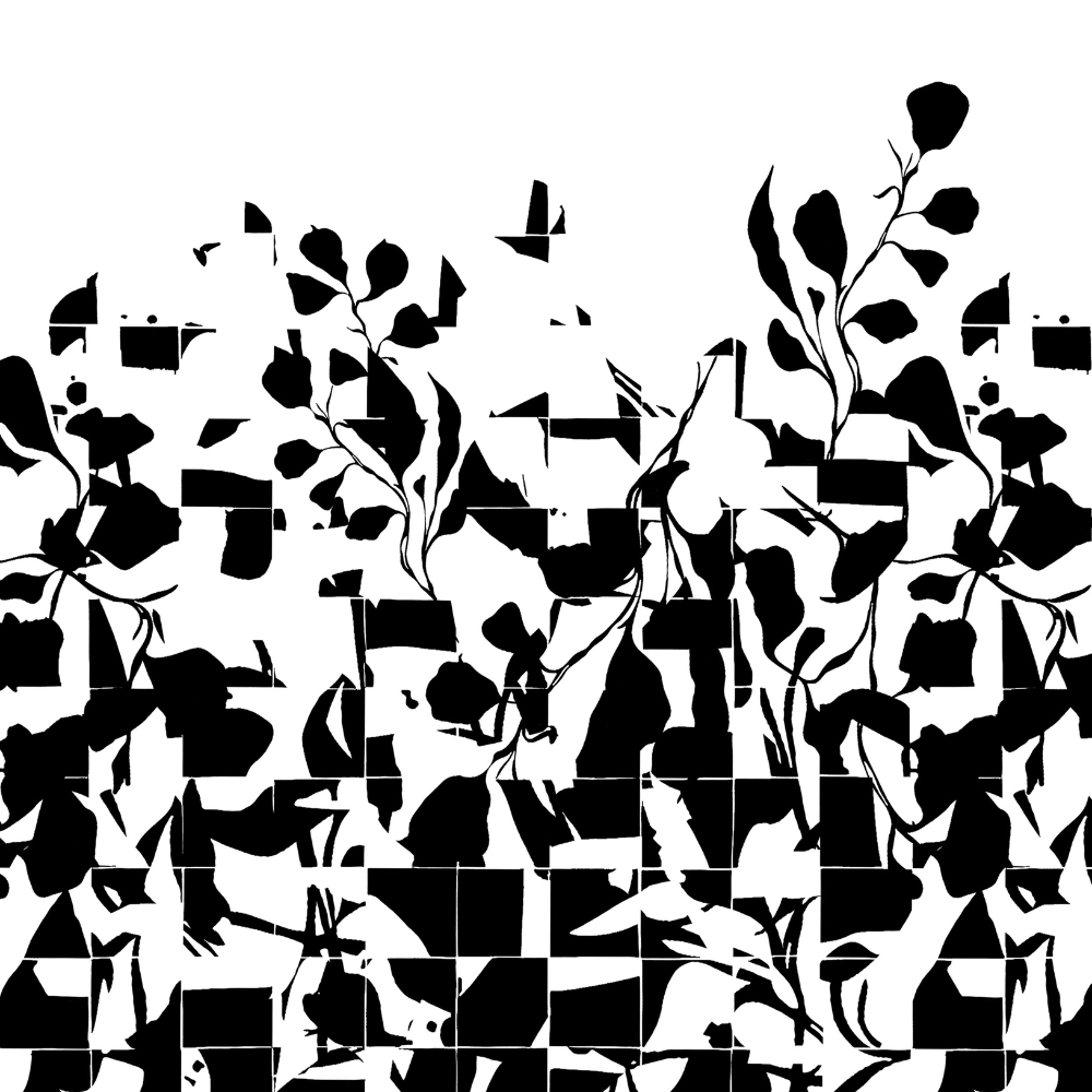 VIDEO : Présentation de l'artiste Baltazar Garden