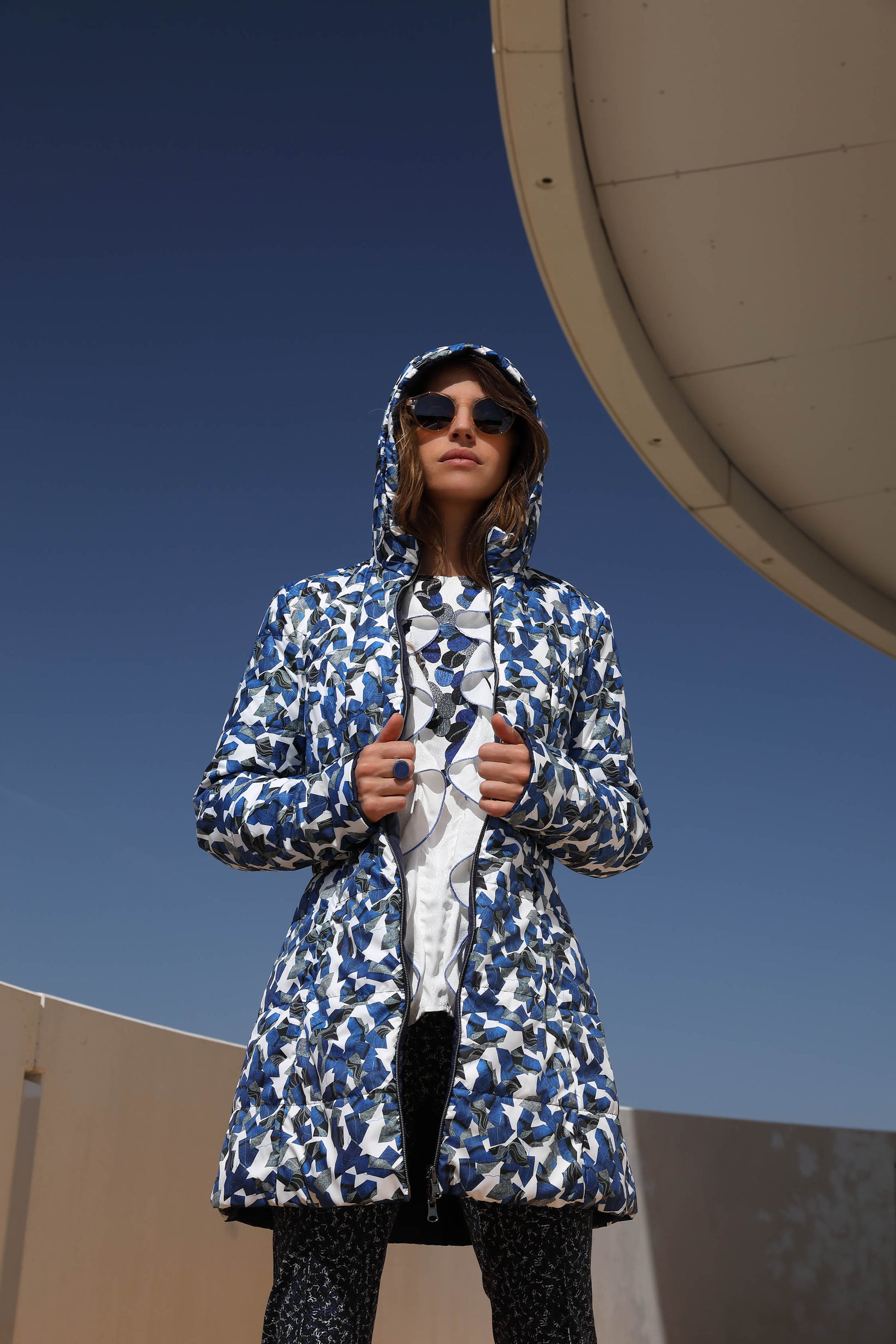 LA BLOUSE FANTAISIE | ARTIC