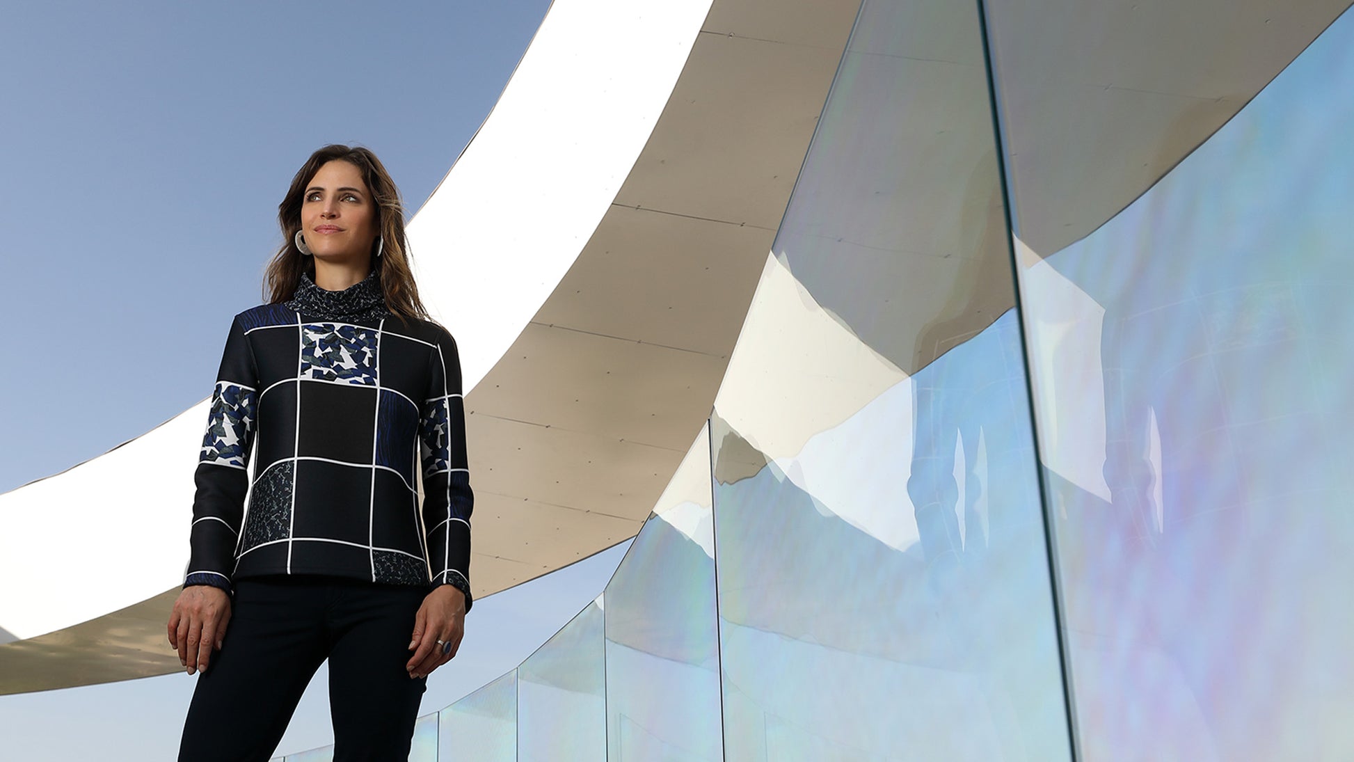 LE PULL RÉVERSIBLE | ARTIC