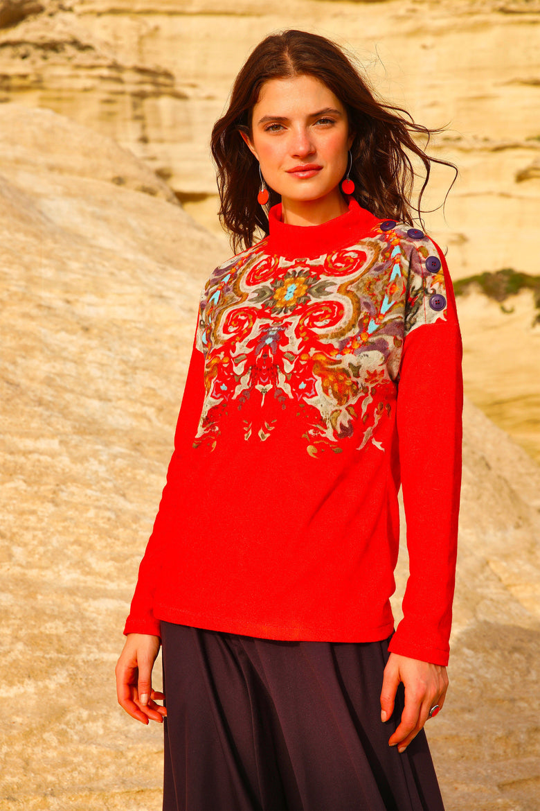 vêtement artist la marque pull-abruzzes