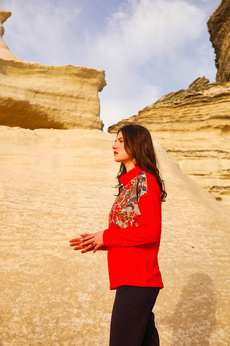 vêtement artist la marque pull-abruzzes