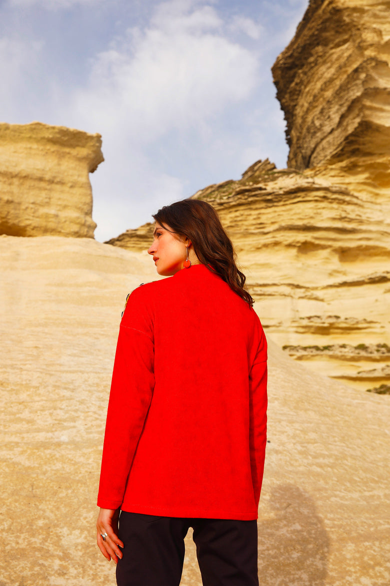 vêtement artist la marque pull-abruzzes